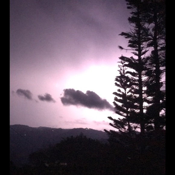 Meet your Posher, Glenda - Picture 1 of 1